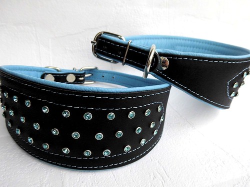 Lederhalsband Für Windhunde - Schwarz, Verstellbar 26-32cm, Gepolstert, 50mm Breit
