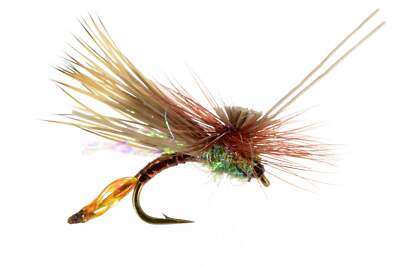 AC Caddis Pheasant Tail - Fly Fishing Flies (1 pc)