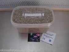 3x Maceta de cultivo de sustrato de hongo ostra Magic Farm's (500 ml/transpirable) PF tek