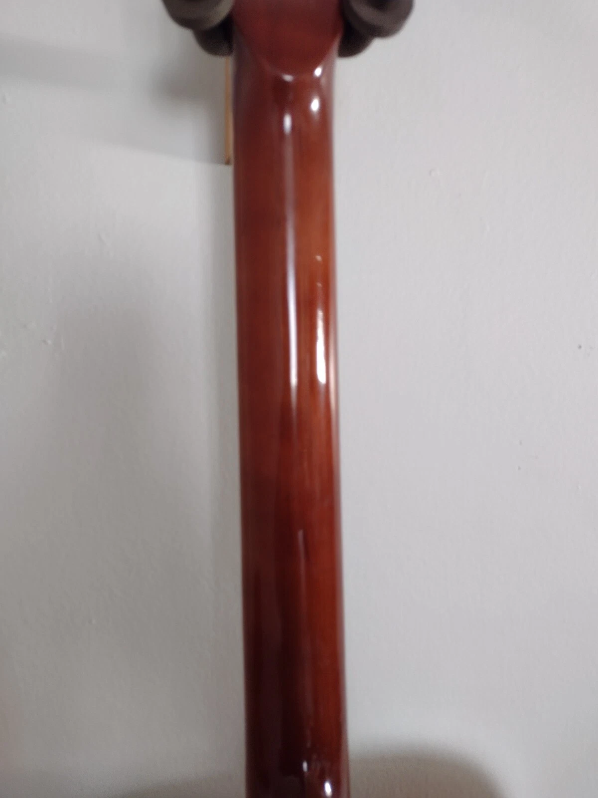 Picture 8 of 24