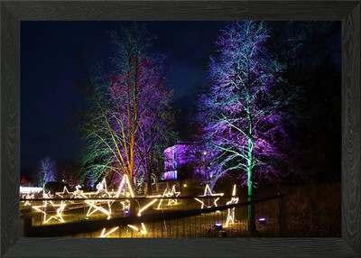 Illuminated Stars in Garden Framed Wall Art Poster Canvas Print Picture