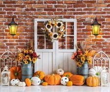 Thanksgiving Autumn Fall Pumpkin Harvest Brick Photography Backdrop 10x8 Ft