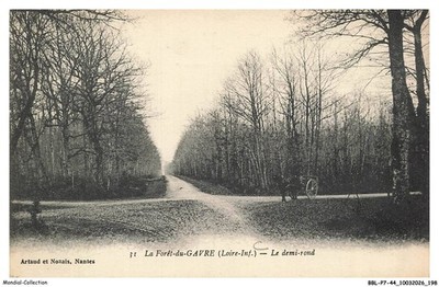 BBLP7-0658-44 - La foret du GAVRE - Le demi rond