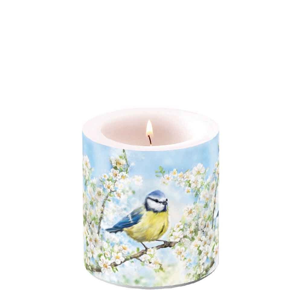 Garden Birds Blue Tit & Blossom Candle Garden Birds 35 Hour Burn Spring Gift