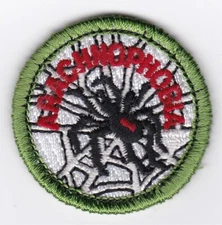 MERIT BADGE - SPOOF - ARACHNOPHOBIA - 1-1/2" DIA. - PRIVATE ISSUE