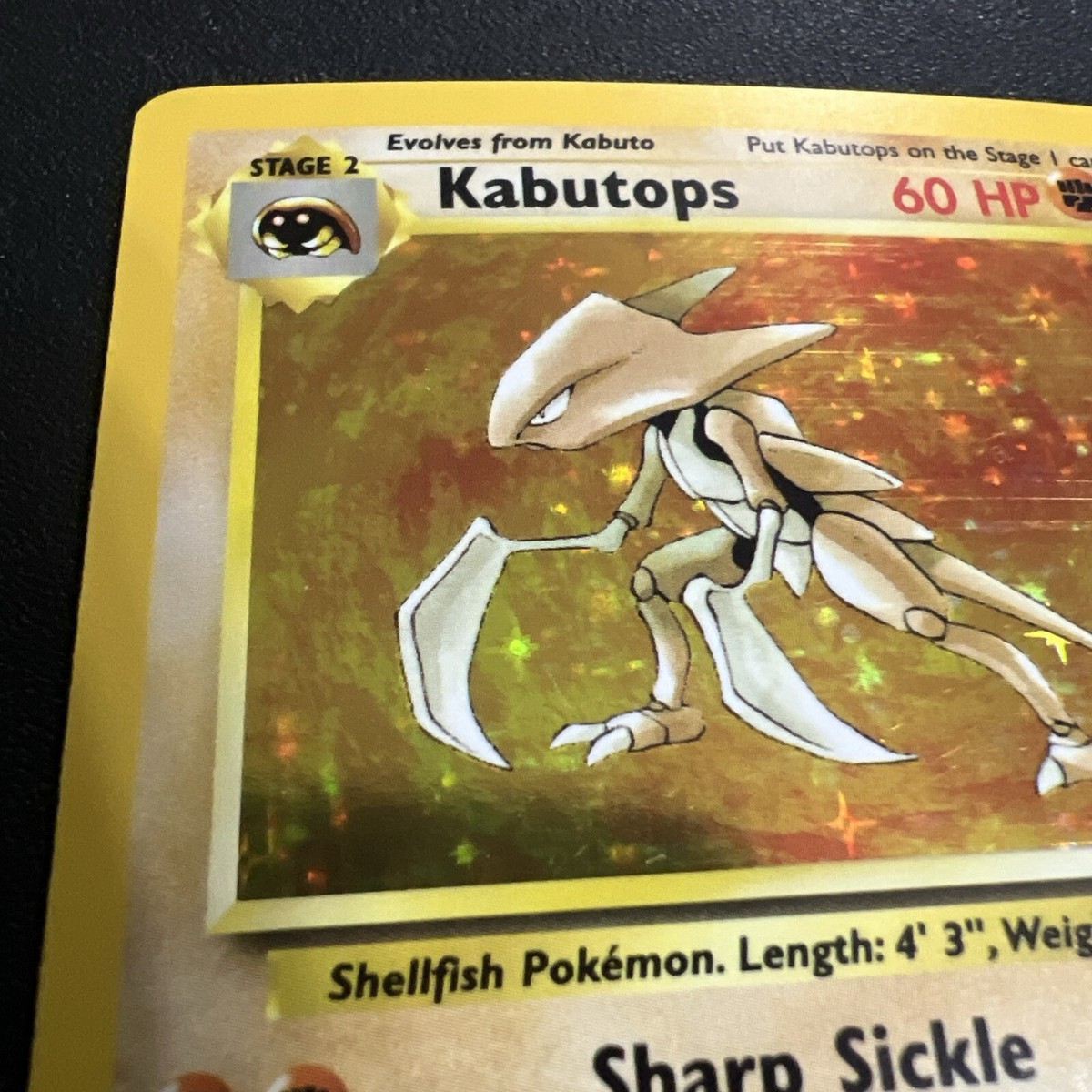 Vintage Kabutops 9/62 Fossil Holo Rare 1999 Pokemon Card 60 HP | eBay