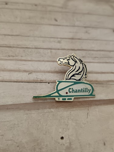Pin's émaillé – Haute Savoie Chamonix Mont Blanc – France – Département 54