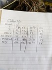 Bild 15 von 16
