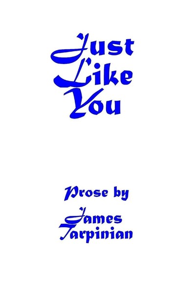 Just Like You James Tarpinian Taschenbuch Kartoniert / Broschiert Englisch 2009-image