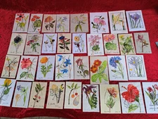 34 Beautiful Pictures, Hand-Painted Aquarelle: Flowers (Plant) , Signed