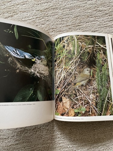 BIRDS Of North America A Personal Selection Eliot Porter 1972 A&W Visual Library - Imagen 9 de 11