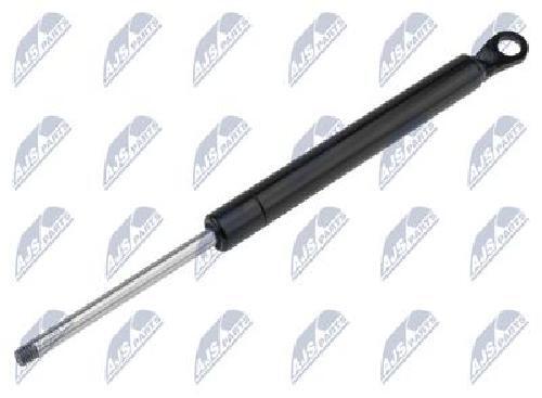 Original NTY Gas Spring Trunk/Loading Area AE-CT-008 For Citroën