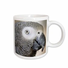 3dRose African Grey Parrot tropical bird - NA02 MFR0001 - MFR Mug