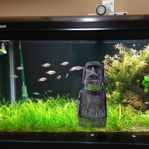 Decorazione artificiale della statua dell'isola di Pasqua per acquario paesaggis - Foto 5 di 5