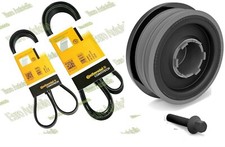 2 x Keilrippenriemen + Riemenscheibe Kurbelwelle BMW 3er E46 318 / 320 D