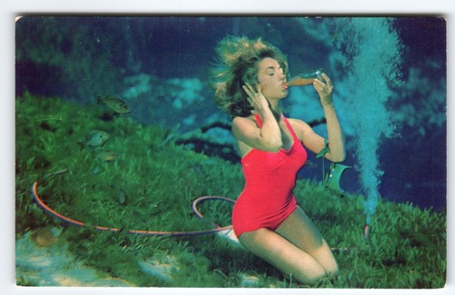Weeki Wachee Florida Postcard Lovely Swimsuit Lady Mermaid Drinks Under Water