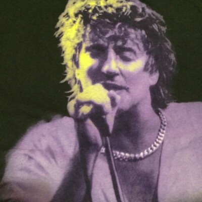 Vtg 90s Hanes Ultraweight Black Rod Stewart Unplugged and more T  