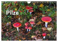 "Calendar 2027 · US Version · Mushrooms (Wall Calendar 2027 12\" × 8\" Landscape),"