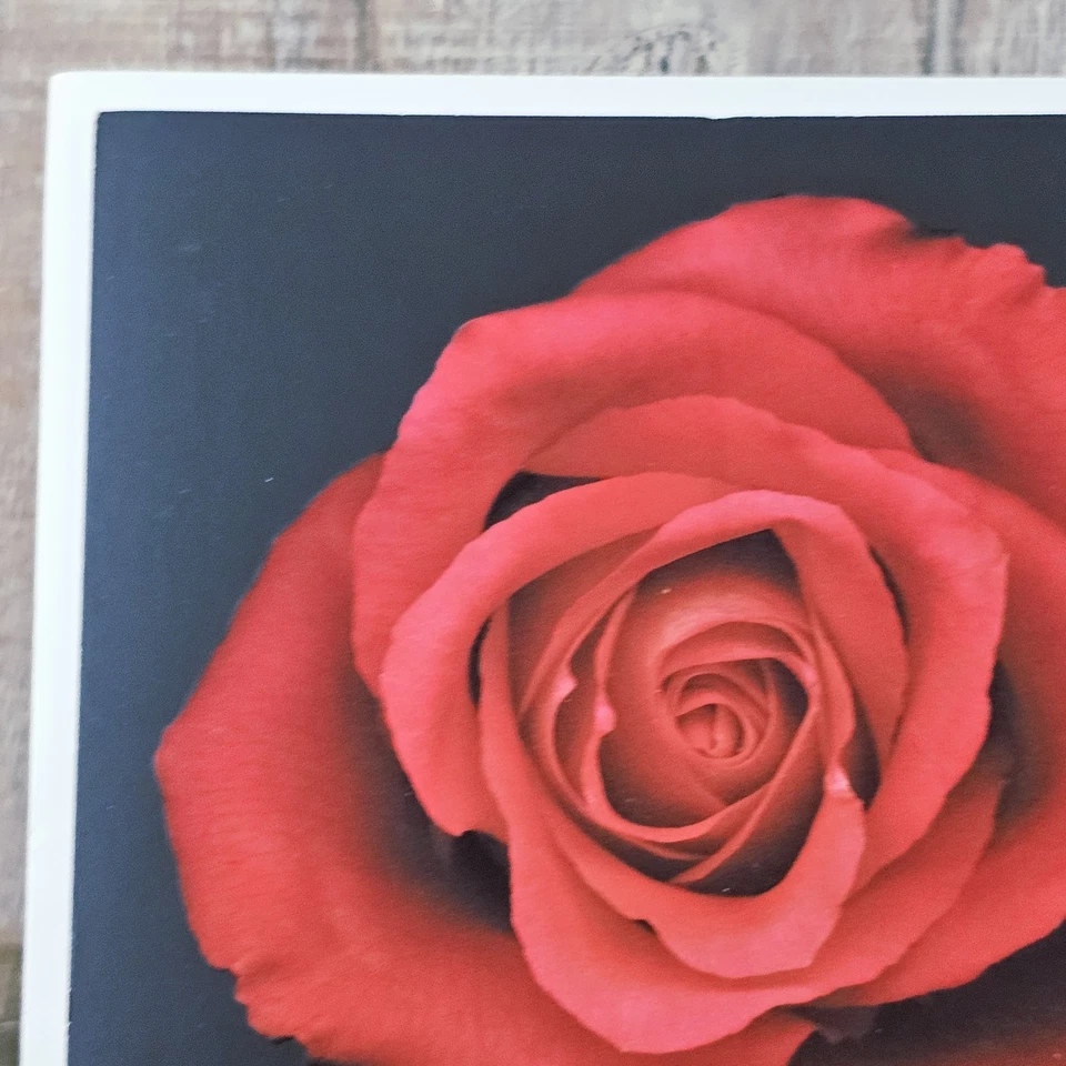 Anniversary Greeting Card Love Black Red Rose Poetry Leanin Tree - Image 2 of 4