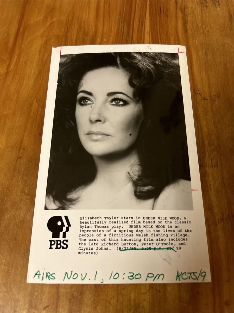 Vintage Actor Black White Liz Elizabeth Taylor ￼Photo Print Film