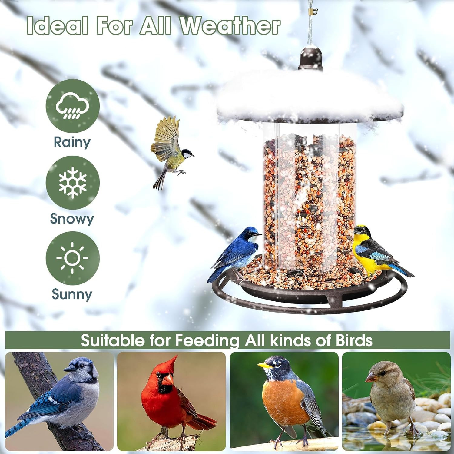 Bird Feeders for Outdoors, Hanging Metal Bird Feeder for Outside with Acrylic