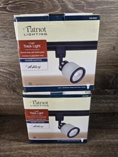 2x Patriot Lighting Track Light Frosted Glass 349-5905 Indoor Lighting