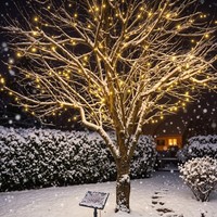 Esotec Solar Lichterkette Mit 200 WarmweißEn Leds Wetterfest 102570