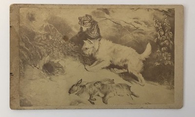 Antique CDV Photo Art THE RABBIT FANCIERS Terriers Dogs Guard Hole 1860s Hunting