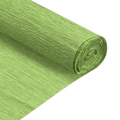 2pcs Crepe Paper Roll Crepe Paper Decor 6.9ft Long 20 Inch Wide, Light Green