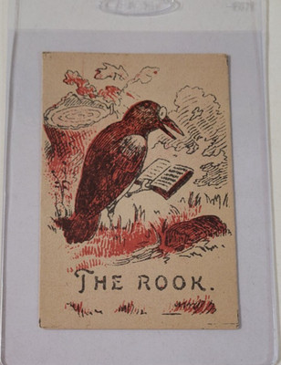 1800's THE ROOK Book Reading Bird ANTIQUE TRADING CARD EX Vintage * VERY RARE