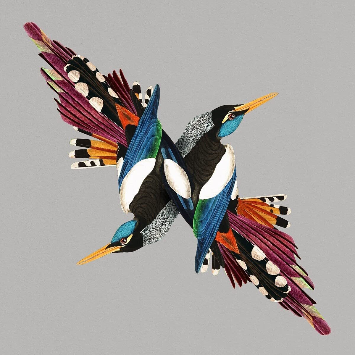 Shire T - Tomorrow's People - Cd