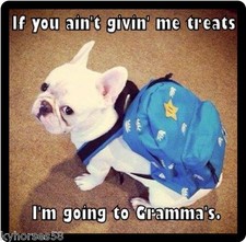 Funny Dog Humor French Bulldog Gonna Go To Gramma's Refrigerator Magnet
