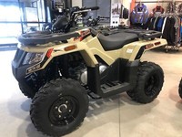 2022 Arctic Cat NEW Alterra 300 - IN STOCK!!
