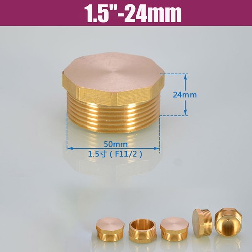 1/8" 1/4" 3/8" 1/2" 3/4" 1" 1.2" 2" Brass Male Thread Blanking Plug Pipe End Cap - Picture 18 of 19
