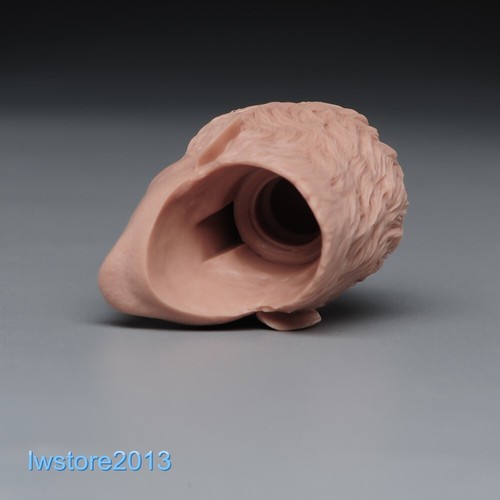 1:6 Girl Man Head Sculpt Carved For 12inch Female Male Action Figure Body Toys - Picture 18 of 133