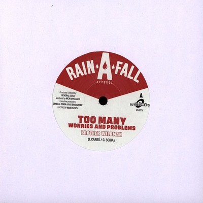 Brother Wildman - Too Many Worries And Problem (Vinyl 7'' - 2025 - EU - Original)