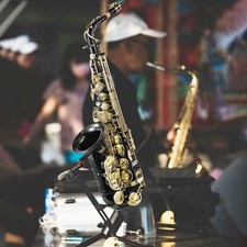 Professional Golden Alto Saxophone E-Flat Sax with Case