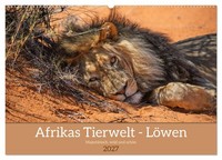 Afrikas Tierwelt - LöWen (Wandkalender 2027 DIN A2 Quer), Calvendo Monatskalende