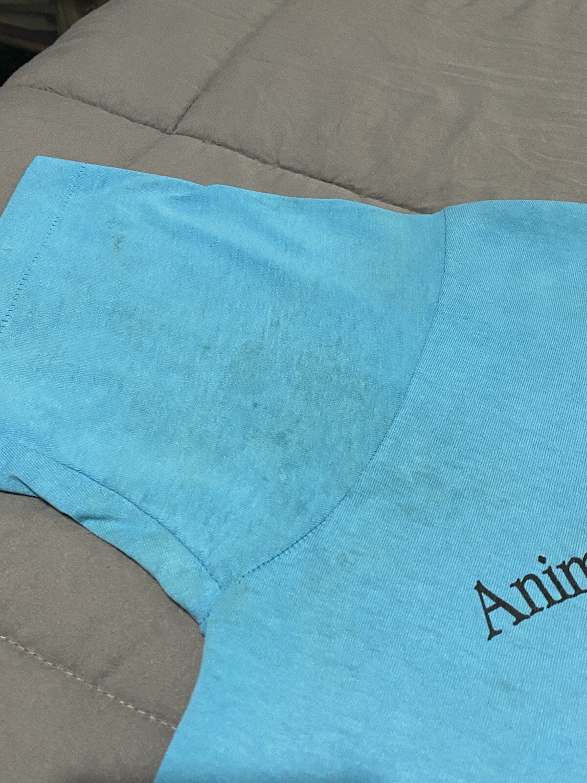 2 Vintage Galveston Animal Shelter and Adoption Cente… Gem