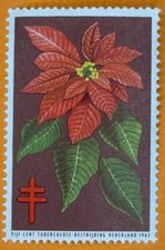 1962 Netherlands Christmas Seals Tuberculosis TB Cinderella Poster Stamp MNHFG