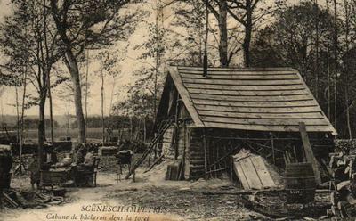 FELDSZENEN - Metzgerhütte im Wald