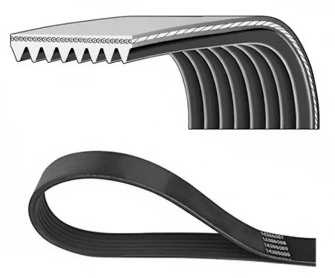 DAYCO 8PK1995HD Cinghia Poly-V - Immagine 2