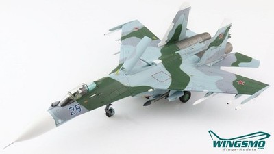 Hobby Master Russian Air Force Sukhoi SU-27 Flanker HA6013