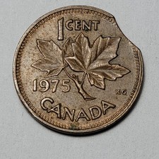  on The Hot Collector