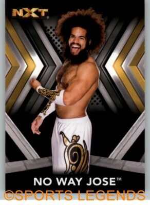 2017 NXT Roster #20 No Way Jose