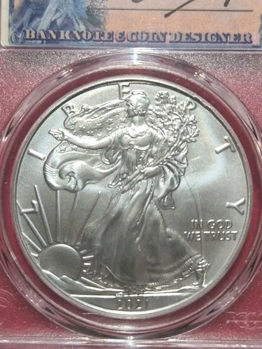 2021 T1 Ase MS70 Signed By Len Buckley. 1oz. Scrated slab . Free Shipping. #AA