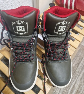 DC Schuhe 39