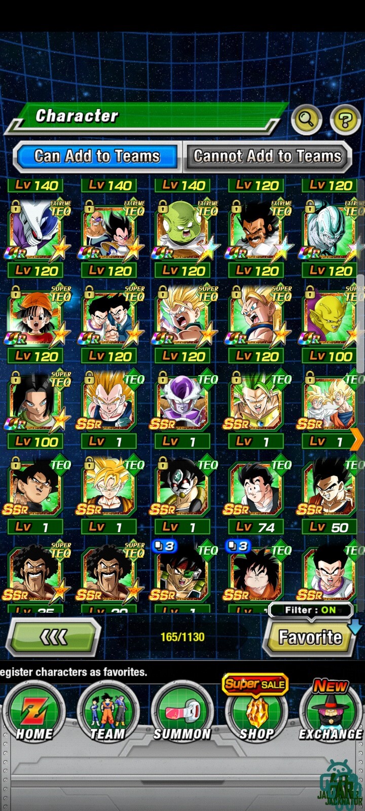 Foto 18 di 24