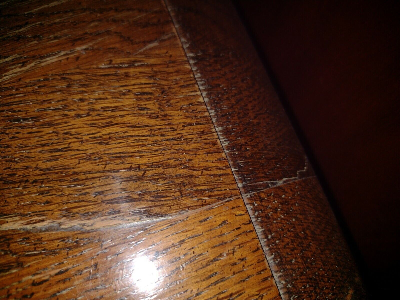 Picture 5 of 5