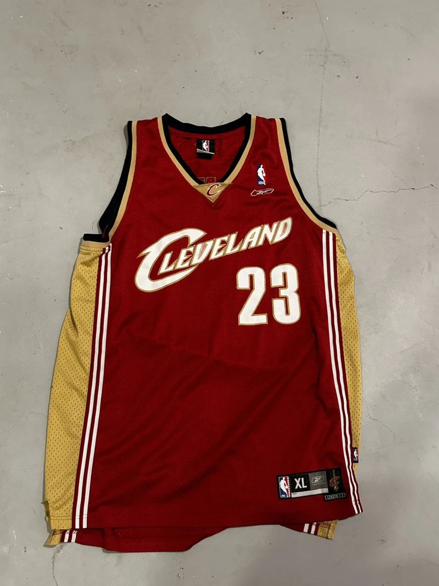Reebok LeBron James Cleveland Cavaliers NBA Fan Apparel